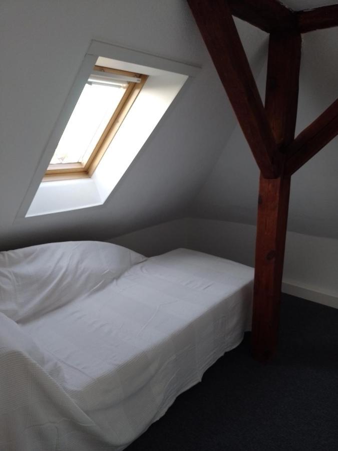 Apartment Biesnitz 格尔利茨 外观 照片